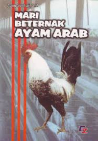 Mari Beternak Ayam Arab