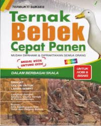 Beternak Bebek dengan Cara Sederhana