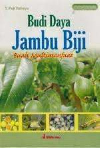 Budidaya Jambu Biji: Buah Multi manfaat