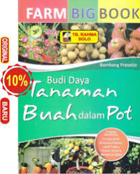 Tanaman Buah Dalam Pot Sawo