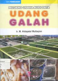 Peluang Usaha Budidaya Udang Galah