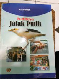 Budidaya Jalak Putih