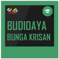 Budidaya Tanaman Krisan