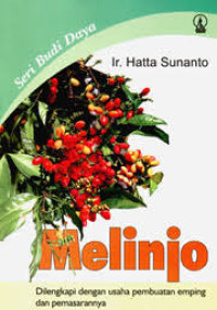 Rahasia Emas: Sang Belinjo