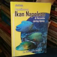 Pemeliharaan Ikan Napoleon di Keramba Jaring Apung