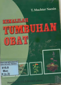 Budidaya Tanaman Obat